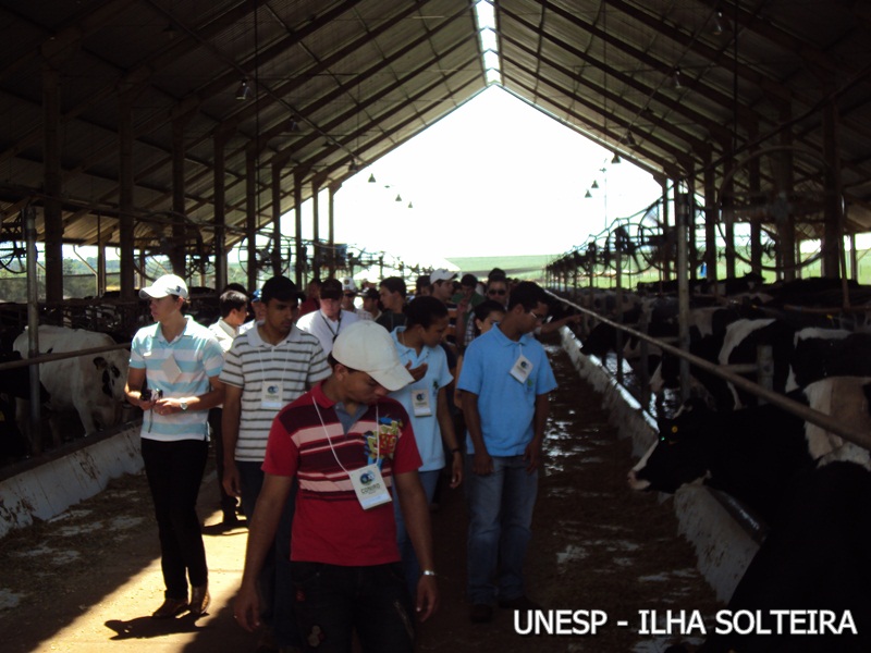 conird_2010 (22).JPG